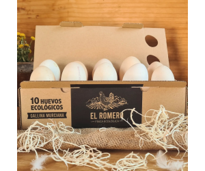 Huevos Gallina Castellana Ecológicos Finca El Romero (10 und)